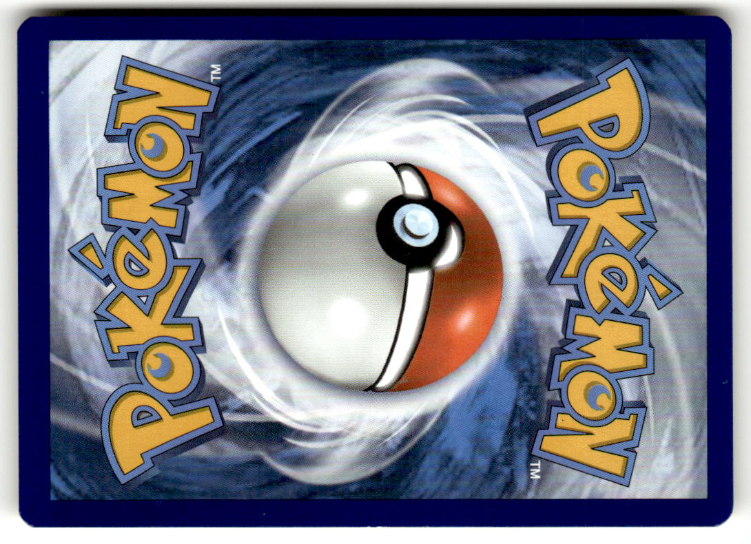 Back of Eevee 125/203 from Evolving Skies