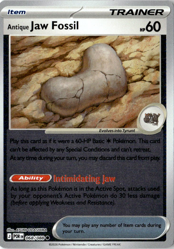 Front of Antique Jaw Fossil 068/088 from Perfect Order