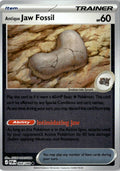 Front of Antique Jaw Fossil 068/088 from Perfect Order