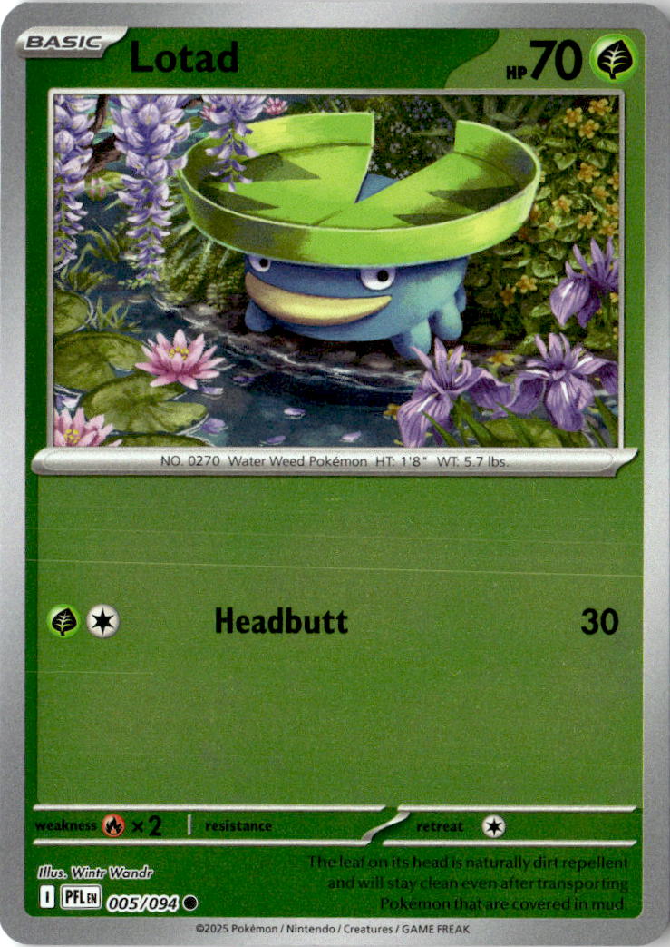Front of Lotad 005/094 from Phantasmal Flames