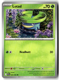 Front of Lotad 005/094 from Phantasmal Flames