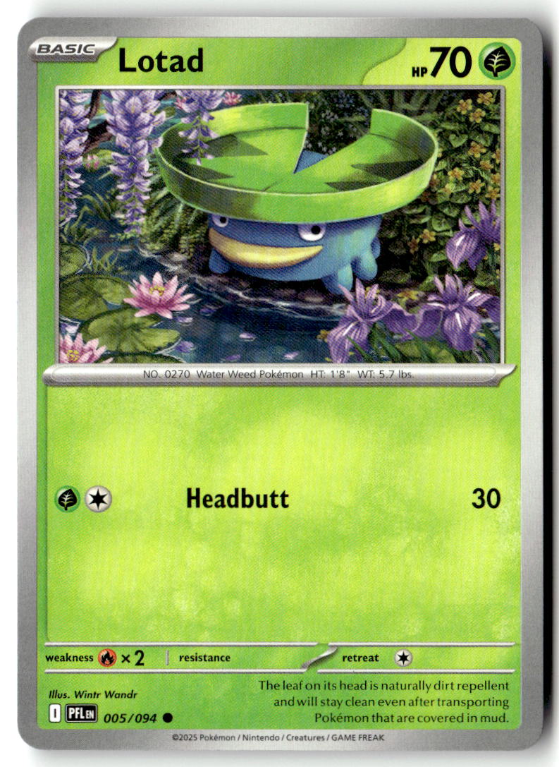 Front of Lotad 005/094 from Phantasmal Flames