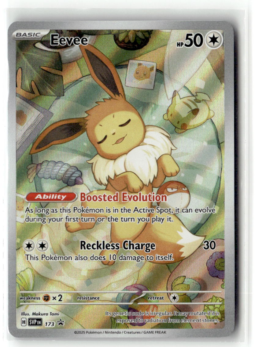Front of Eevee - 173 (Pokemon Center Exclusive) 173 from Scarlet & Violet Promo Cards