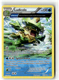 Front of Ludicolo (Alpha) 37/160 from XY - Primal Clash