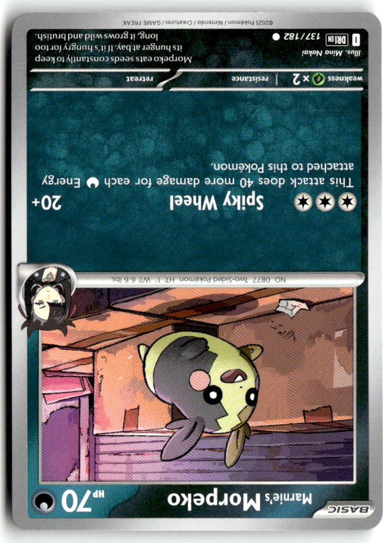 Front of Marnie's Morpeko 137/182 from Destined Rivals
