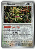 Front of Kecleon 150/191 from Surging Sparks