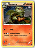 Front of Arcanine 11/122 from XY - BREAKpoint