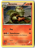 Front of Arcanine 11/122 from XY - BREAKpoint