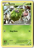Front of Burmy 2/124 from XY - Fates Collide