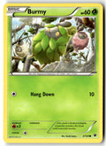 Front of Burmy 2/124 from XY - Fates Collide