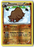 Front of Piloswine 81/162 from XY - BREAKthrough