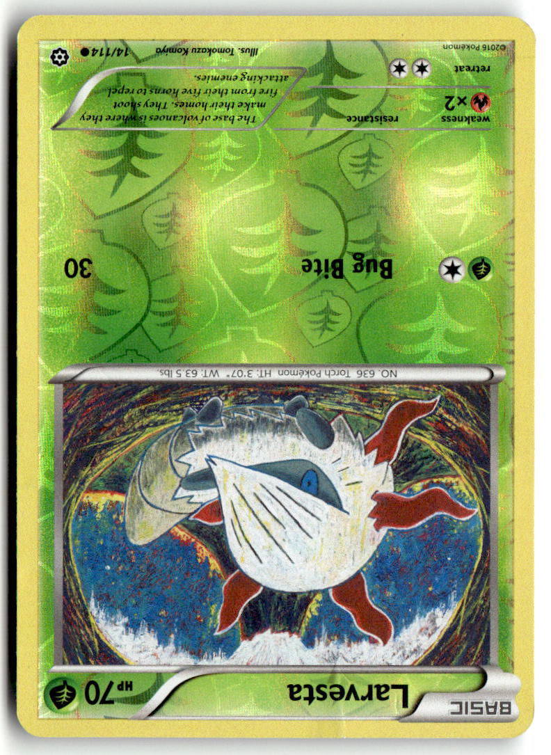 Front of Larvesta 14/114 from XY - Steam Siege