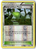 Front of Forest of Giant Plants 74/98 from XY - Ancient Origins