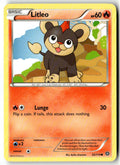 Front of Litleo 22/114 from XY - Steam Siege