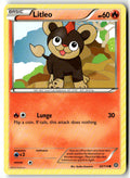 Front of Litleo 22/114 from XY - Steam Siege