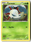 Front of Larvesta 14/114 from XY - Steam Siege