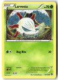 Front of Larvesta 14/114 from XY - Steam Siege
