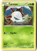 Front of Larvesta 14/114 from XY - Steam Siege