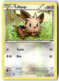 Front of Lillipup 108/146 from XY Base Set