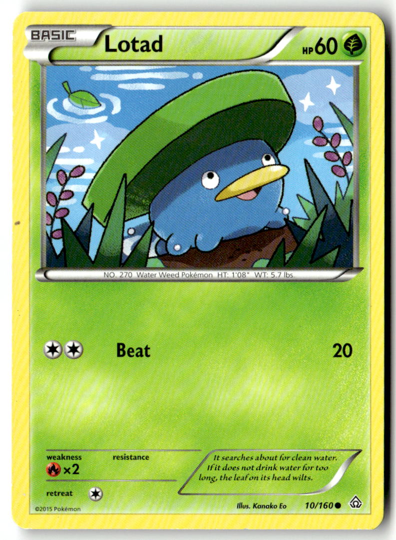 Front of Lotad 10/160 from XY - Primal Clash