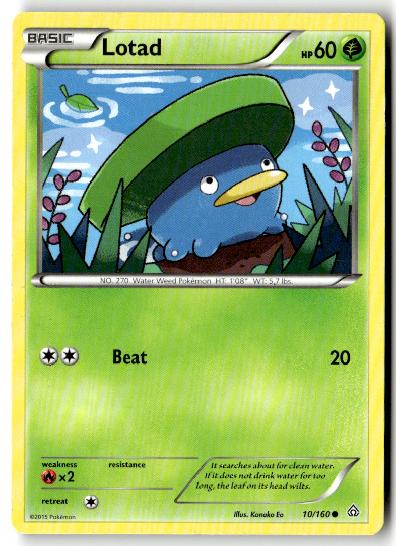 Front of Lotad 10/160 from XY - Primal Clash