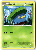 Front of Lotad 10/160 from XY - Primal Clash