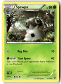Front of Spewpa 16/146 from XY Base Set