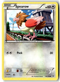 Front of Spearow 65/108 from XY - Roaring Skies