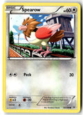 Front of Spearow 65/108 from XY - Roaring Skies