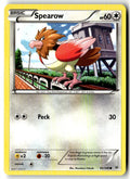 Front of Spearow 65/108 from XY - Roaring Skies