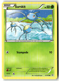 Front of Surskit 13/160 from XY - Primal Clash