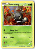 Front of Scatterbug 13/162 from XY - BREAKthrough