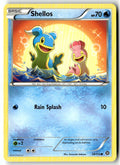 Front of Shellos 28/114 from XY - Steam Siege