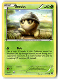 Front of Seedot 9/114 from XY - Steam Siege