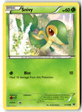Front of Snivy 5/124 from XY - Fates Collide