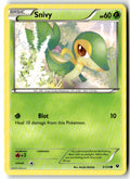 Front of Snivy 5/124 from XY - Fates Collide
