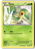 Front of Snivy 5/124 from XY - Fates Collide