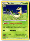 Front of Servine 6/124 from XY - Fates Collide