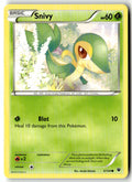 Front of Snivy 5/124 from XY - Fates Collide