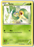 Front of Snivy 5/124 from XY - Fates Collide