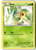 Front of Snivy 5/124 from XY - Fates Collide