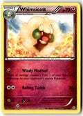 Front of Whimsicott 56/98 from XY - Ancient Origins