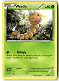 Front of Weedle 1/160 from XY - Primal Clash