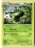 Front of Wormadam (3) 3/124 from XY - Fates Collide