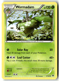 Front of Wormadam (3) 3/124 from XY - Fates Collide