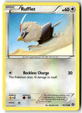 Front of Rufflet 92/114 from XY - Steam Siege
