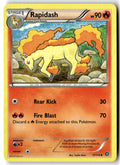 Front of Rapidash 17/114 from XY - Steam Siege