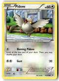 Front of Pidove 78/108 from XY - Roaring Skies