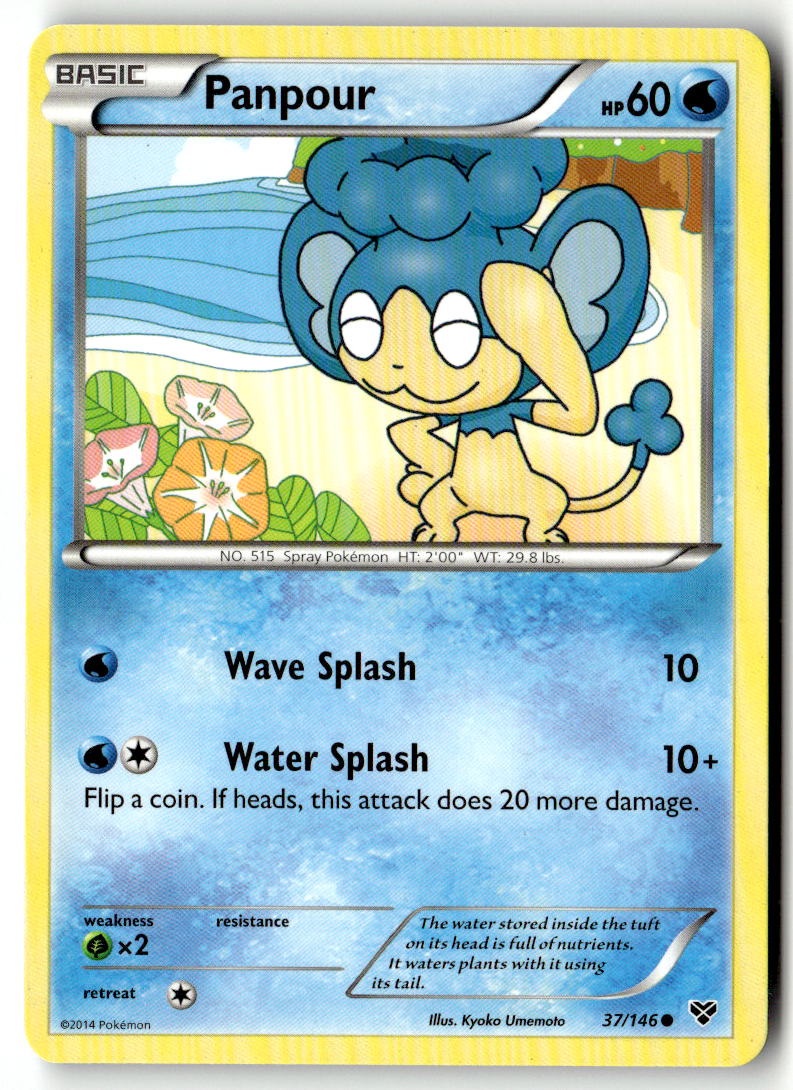 Front of Panpour 37/146 from XY Base Set