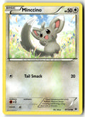 Front of Minccino (87) 87/124 from XY - Fates Collide